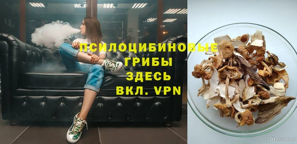 эйфоретик Аркадак